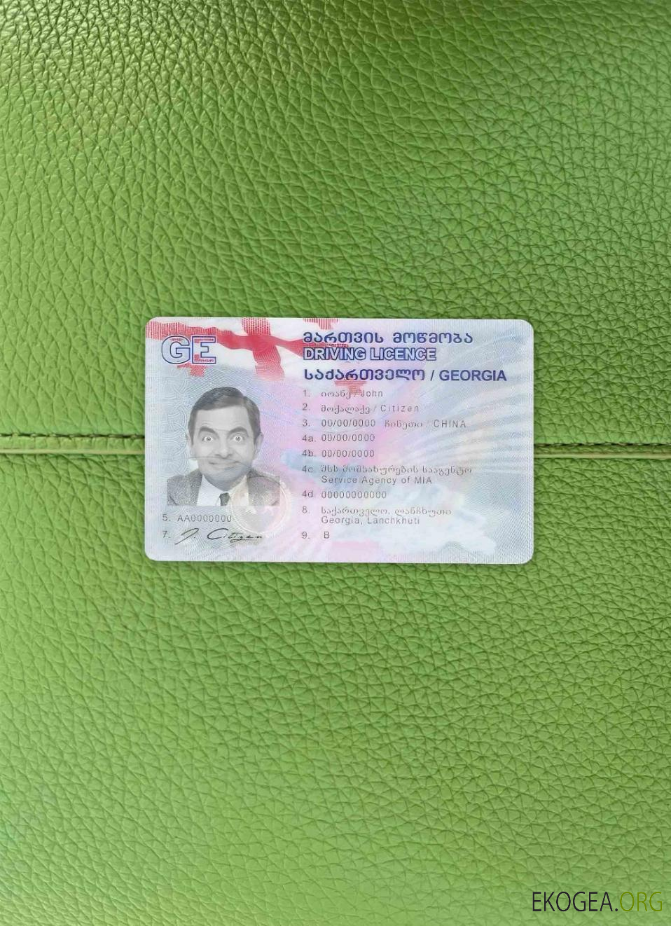 Georgia DL photolook AVANT